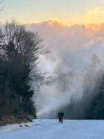 IMG_0719